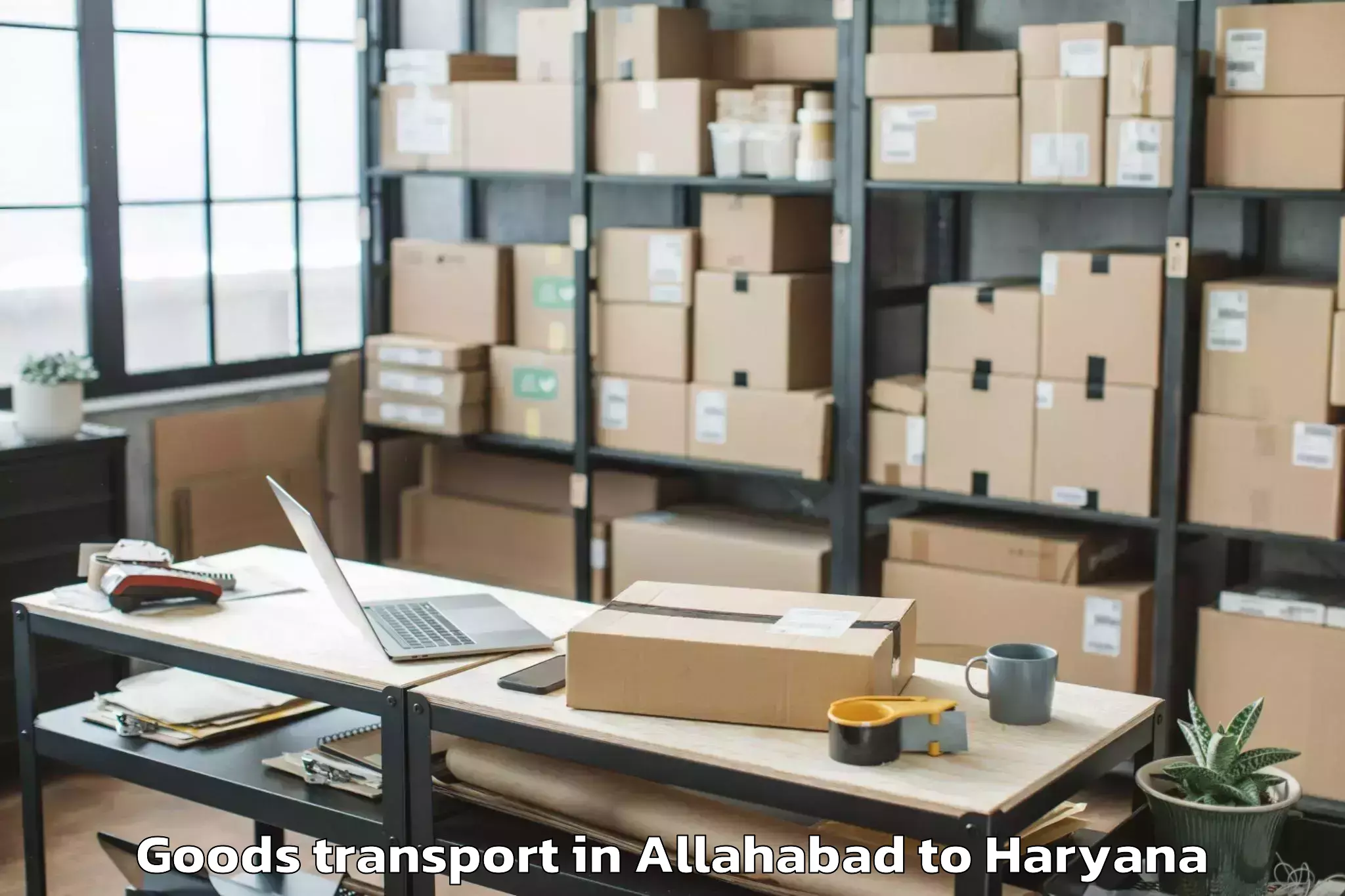 Professional Allahabad to Manav Rachna University Farida Goods Transport